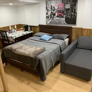 Big Oasis Studio Near Airport Yyz Guest house